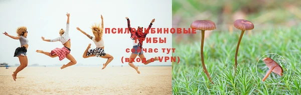 прущий лед Балашиха