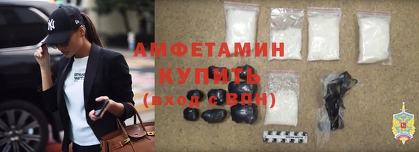меф Ельня