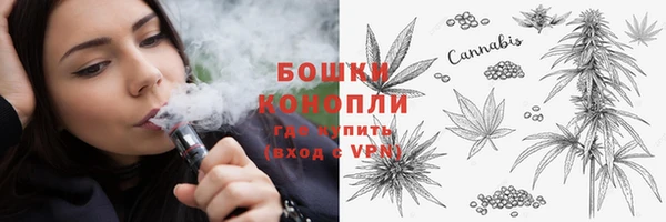 меф Ельня