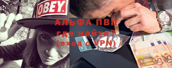 дживик Елабуга