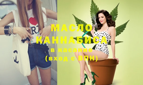меф Ельня
