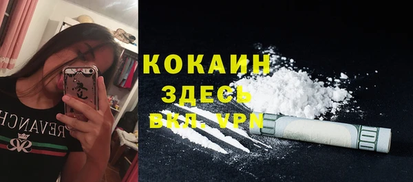 дживик Елабуга