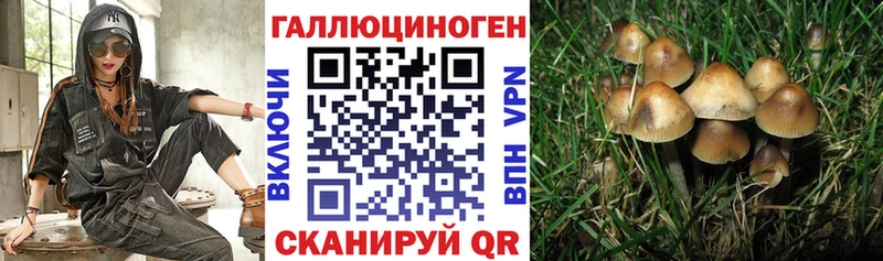 что такое   Катав-Ивановск  Псилоцибиновые грибы MAGIC MUSHROOMS 